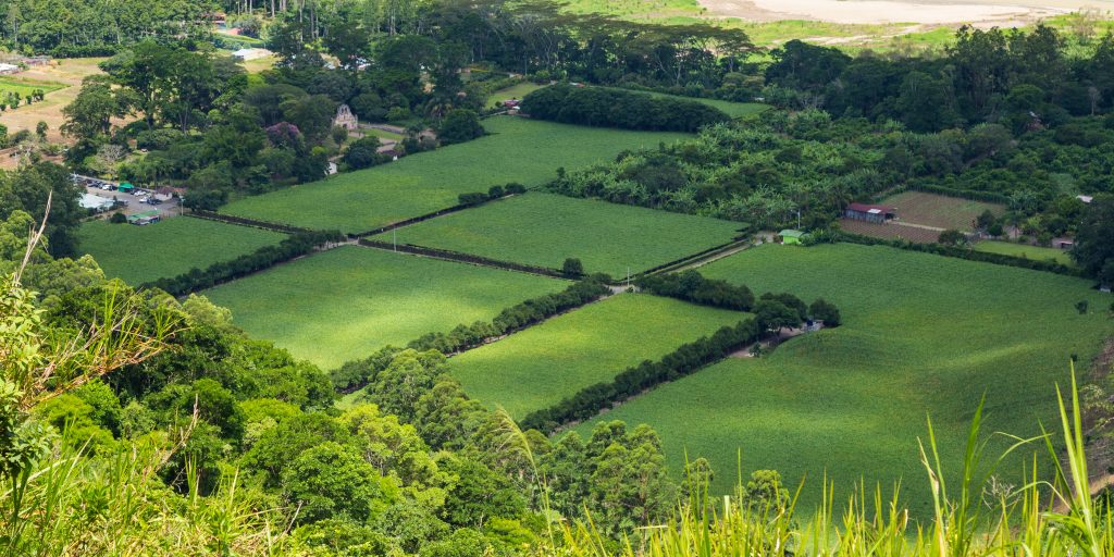 土地開發是什麼